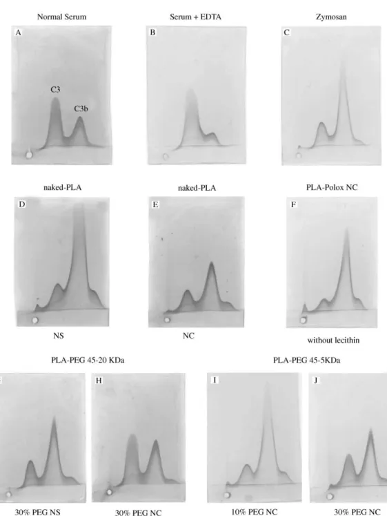Fig. 6. Crossed immunoelectrophoresis of C3 antigens in human serum diluted 1/4 in VBS &gt; after 60 min incubation with NP suspensions at constant surface area (500 cm  )