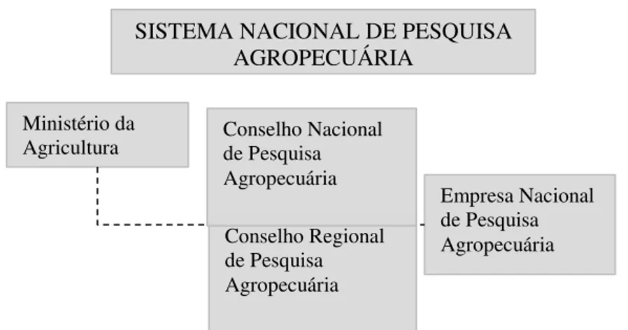 Figura 3 Sistema Nacional de Pesquisa Agropecuária 