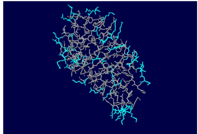 Figure 3.2: Representation of the surface residues of a protein. The light blue residues represent the surface