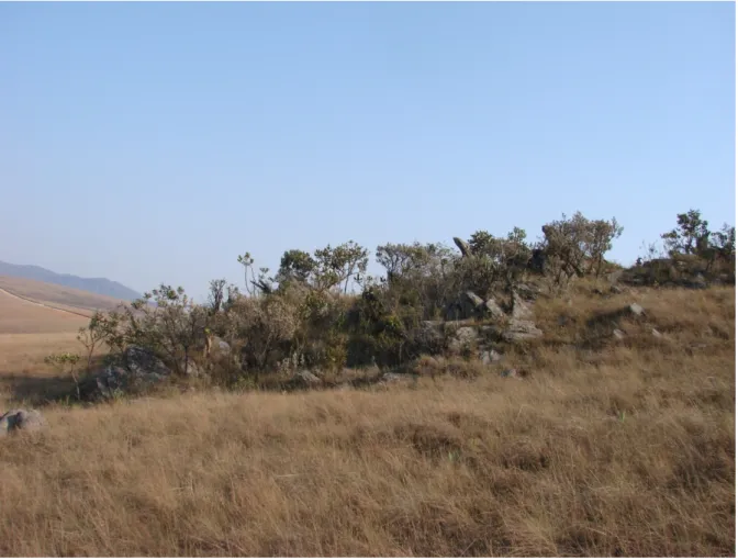 Figura 6: Afloramento rochoso da Serra do Ouro Branco, Ouro Branco, MG. Foto: Gabriel Pedreira (2007)