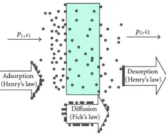 Figure 9 – Permeation mechanism for gas and water vapor molecules through a plastic film