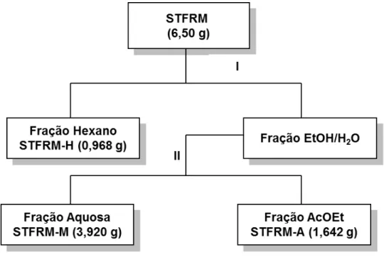 Tabela 3.7: Frações obtidas da partição líquido-líquido do extrato STFRM 