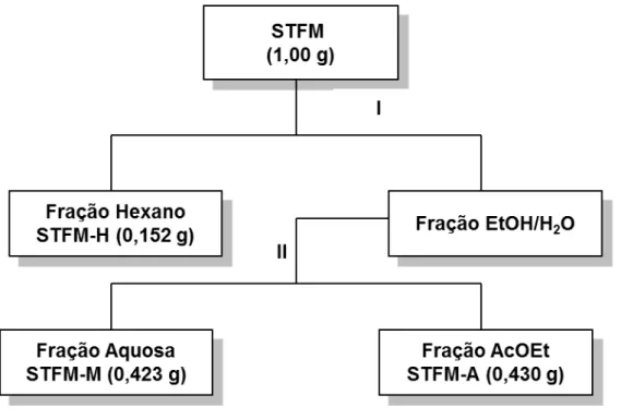 Tabela 3.8: Frações obtidas da partição líquido-líquido do extrato STFM 