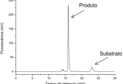 FIGURA 5.4 - Cromatograma da separação obtida entre o substrato e produto da clivagem