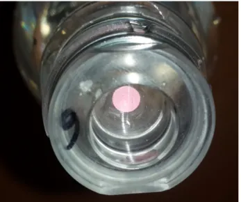 Figure 17 illustrates the bottles closed with the special cap. 