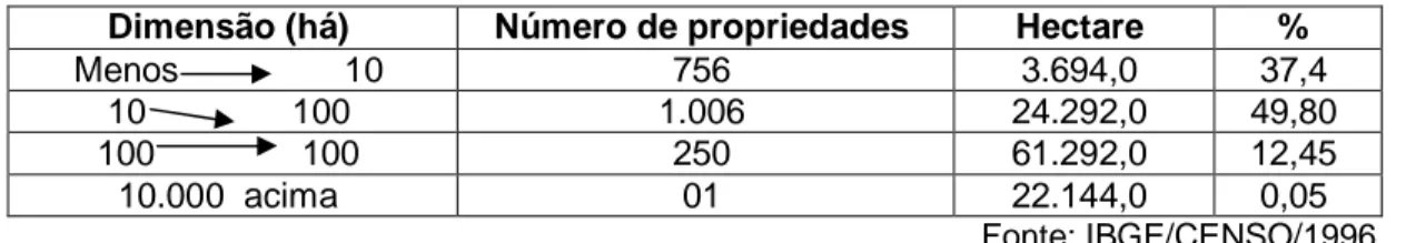 Tabela I – Estrutura Fundiária de Itapuranga - 1996 