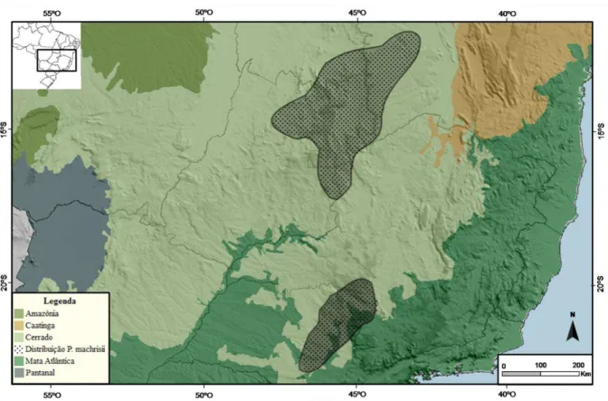 Figura 2. Mapa da região leste do Brasil apresentando a distribuição de P. machrisii. A área  sombreada  corresponde  às  populações  amostradas  e  à  distribuição  total  sugerida  para  a  espécie (ZAPPI, 1994; HUNT et al., 2006)