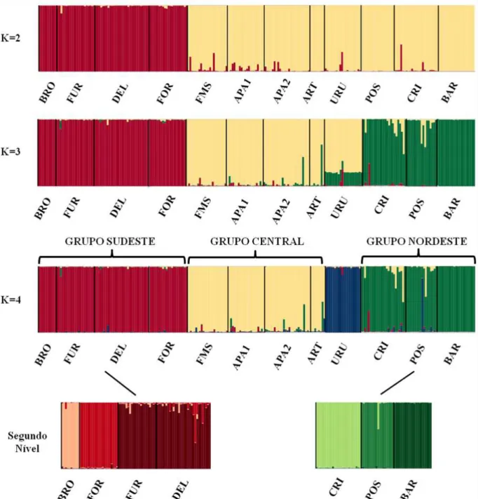 Figura  4.  Esquema  dos  resultados  obtidos  a  partir  da  análise  bayesiana  hierárquica  do  programa  STRUCTURE  (PRITCHARD  et  al.,  2000)