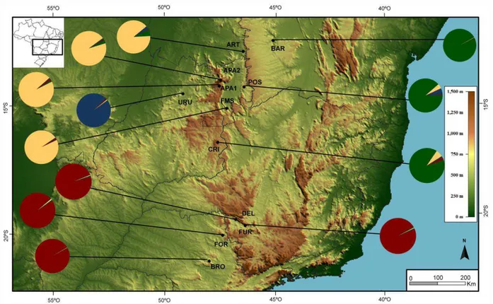 Figura 5. Mapa de elevação (medida em metros) da região central e leste do Brasil apresentando a  proporção média do genoma dos indivíduos em cada população atribuída aos grupos determinados  pelo programa STRUCTURE (PRITCHARD et al., 2000; K=4)