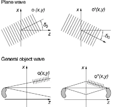 Figure 3.8: The conjugate complex object wave 