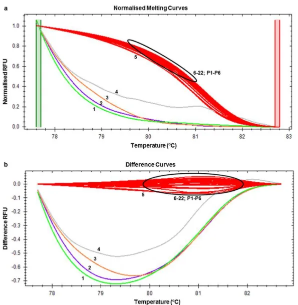 Fig.  4.  HRM  analysis  of real-time  PCR products  with  Evagreen ®  dye  targeting  the  Pru  du  5  gene of almond  and applied to different processed food samples and almond DNA extracts