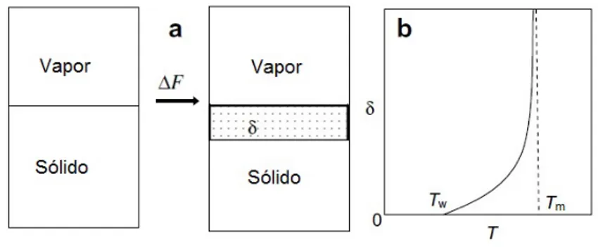 Figura 5.3: Ilustra¸c˜oes esquem´aticas de (a) uma superf´ıcie s´olida em equil´ıbrio com o seu vapor e uma superf´ıcie “molhada”por uma camada quase l´ıquida; (b) δ como uma fun¸c˜ao da temperatura