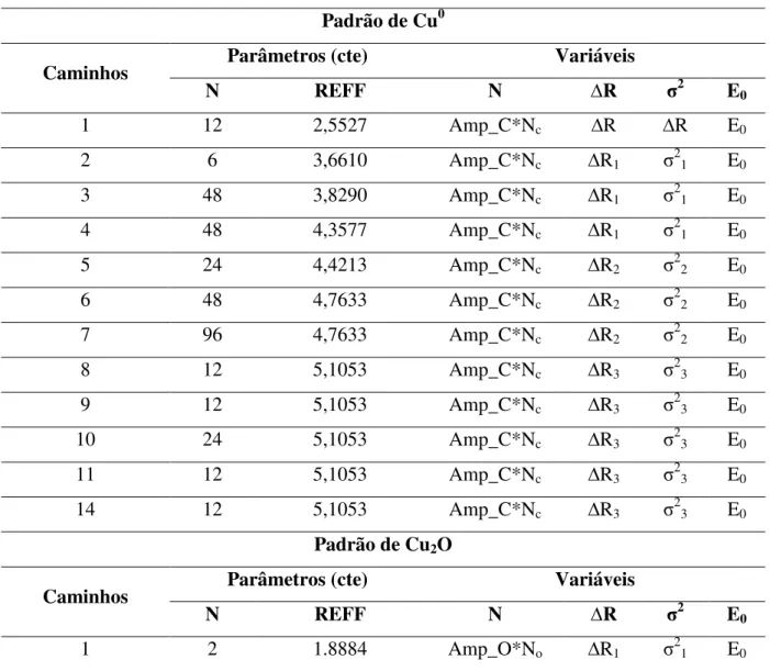 Tabela 5: Parâmetros e vínculos utilizados entre os parâmetros para o ajuste dos espectros de EXAFS para as amostras 