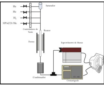 Figura 8: Esquema da unidade reacional utilizada para a realização dos testes catalíticos