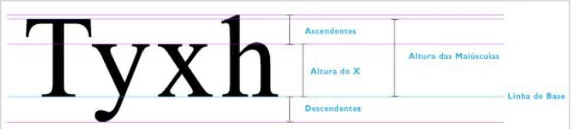Figura 2.3. – Anatomia da Tipografia: Estrutura das letras a nível de altura e de linhas  Elaborada em Adobe Illustrator 