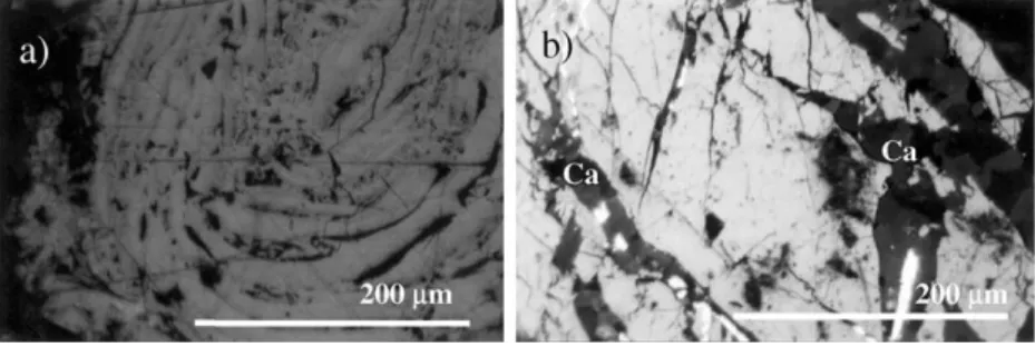 Fig. 1. Esp1 coal: (a) 3.05% R, comma slits, serrated edges, devolatilization pores perpendicular to the stratification revealing a natural thermally affected particle and/or a pseudovitrinite maceral; (b) natural coke characterized by micromosaic texture 