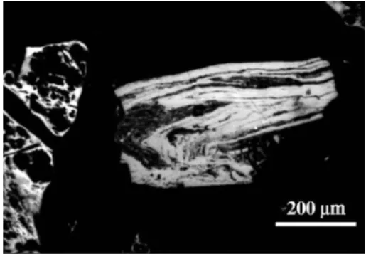 Fig. 5. Esp1 (devolatilization at 800 °C): tectonic folded coal unaltered during the devolatilization conditions.