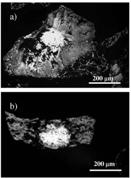 Fig. 10. SEM backscatter electron images (devolatilization at 700 °C):