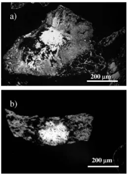 Fig. 10. SEM backscatter electron images (devolatilization at 700 °C):