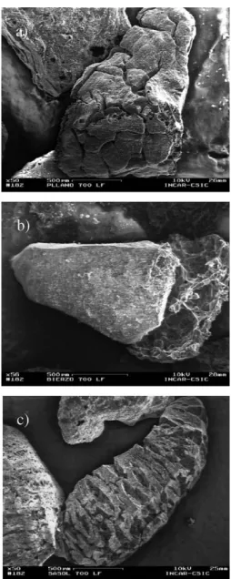Fig. 11. SEM secondary electron images (devolatilization at 700 °C):