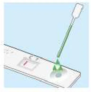 Figure  8 :  Putting  saliva  mix  in  the testing  window  (by GC® dental  corp.) - 