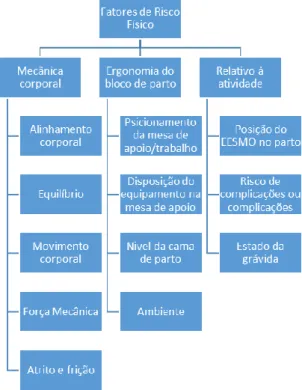 Figura 3 - Esquema de categorização relativamente aos fatores de risco físicos 