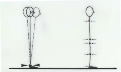 Figure 1 :  Le système de l‟inverted pendulum et le système du mouvemen t compensatoire  La  deuxième  stratégie  utilise  le  contre  mouvement  de  façon  inconsciente  voire  automatique