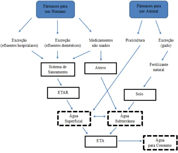 Figura 3 - Possíveis destinos dos fármacos no meio ambiente (Costa e Dordio, s.d.). 