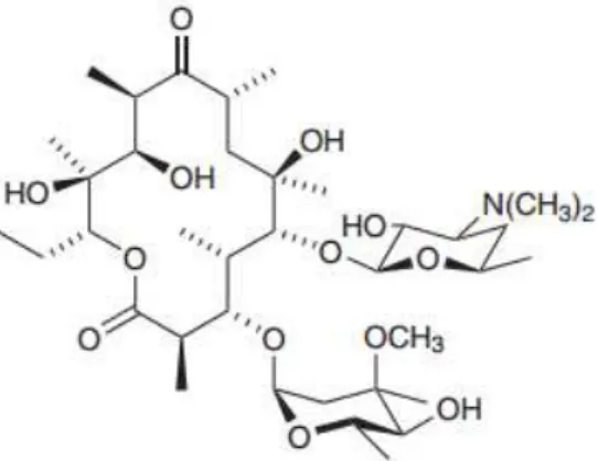 Figura  16  -  Fórmula  química  da  eritromicina,  um  antibiótico  utilizado,  por  exemplo,  para infeções da pele (Júnior, 2010)