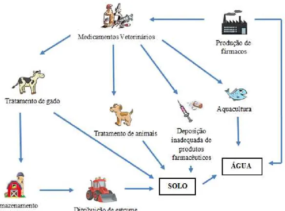 Figura  20  -  Vias  de  contaminação  do  meio  ambiente  por  resíduos  de  medicamentos  veterinários (Boxall et al., 2003)