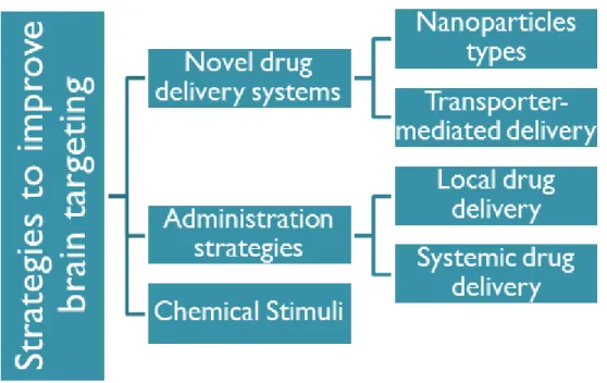 Figure  1.5  Overview  of  different  strategies  for  brain  targeting  of  drugs  adapted  from[23]