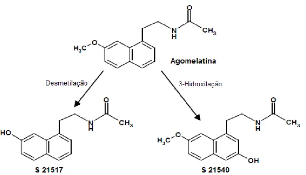 Figura  6.  Representação  das  estrututras  químicas  dos  dois  principais  metabolitos  da  agomelatina (adaptado de Hardeland e Poegeller, 2012)