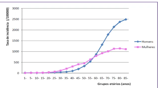 Gráfico 2. Taxa de incidência de cancro por grupo etário e sexo (Adaptado de Registo  Oncológico Regional do Norte  –  2008, RORENO 2013)