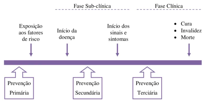 Figura  2.  Níveis  de  prevenção  do  cancro  no  decorrer  da  evolução  natural  do  cancro  (Adaptado  de  Liga  Portuguesa  Contra  o  Cancro,  2014  (4);  Liga  Portuguesa  Contra  o  Cancro, 2014 (5); PNPCDO, 2014; PON, 2001)