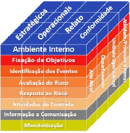 Figura 5 - Coso II (ERM) 