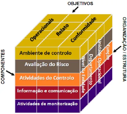 Figura 6 - Coso III 