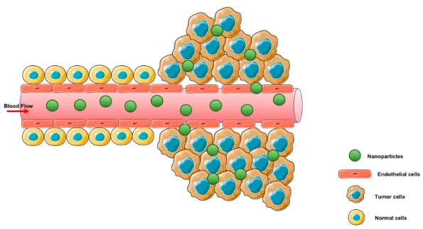 Figure 6: Schematic illustration of the EPR effect. 