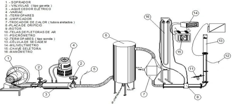 Figura 7 - Representação esquemática do leito fluidizado utilizado 