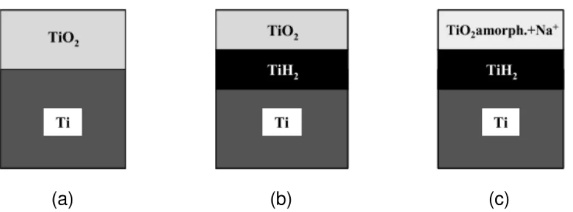 Figura 3.6 Representação esquemática da mudança estrutural na superfície do Ti  metálico:  (a)  sem  tratamento;  (b)  depois  do  processo  ácido  e  (c)  depois  do  tratamento alcalino  (Extraída e modificadas de  [33])