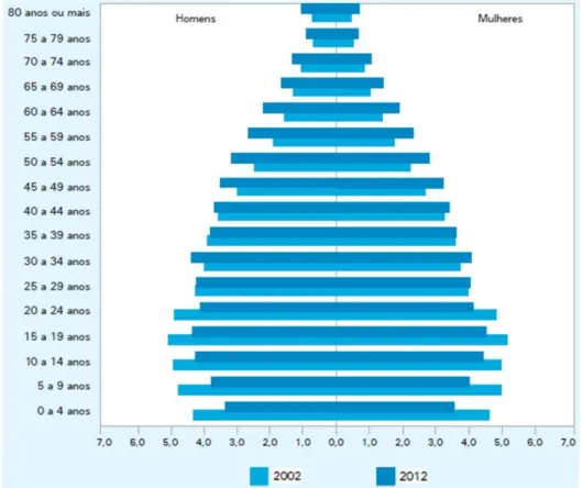 Figura  1.  Distribuição  percentual  da  população  residente  no  Brasil,  por  sexo,  segundo  os  grupos  de  idade  -  2002/2012