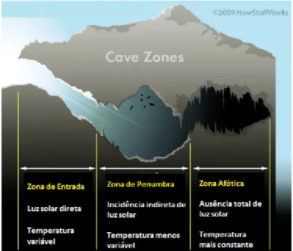 Figura 1. Divisão de uma caverna em zonas distintas, classificadas de acordo com a 
