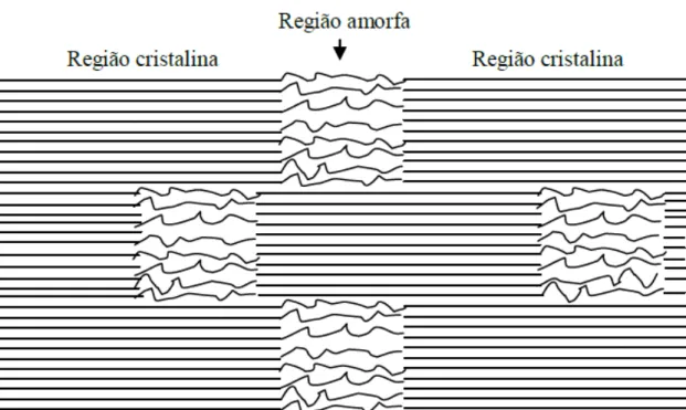 Figura 6 Estrutura esquemática de uma fibrila de celulose, destacando as regiões amorfas  e cristalinas (Filho, 2008)