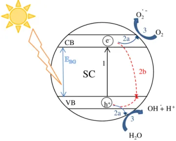 Figure 1.6. Mechanism of photocatalysis with main reaction: electron-hole pair generation (1),  charge  separation and  migration to surface reaction sites (2a) and to recombination  sites (2b)  and surface chemical reaction on active sites (3)