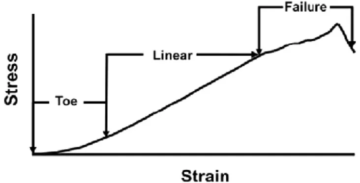 Figure 2.2 - Stress-strain curve of normal tendon failed in tension [33] 