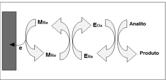 FIGURA 5 – Representação esquemática do funcionamento de um sistema mediado. 