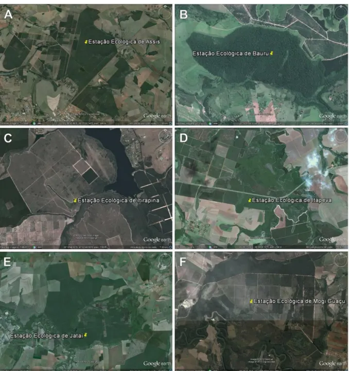 Figura 3. A-F. Imagens dos fragmentos obtidas por satélite. Fonte: Google Earth Software  2010 