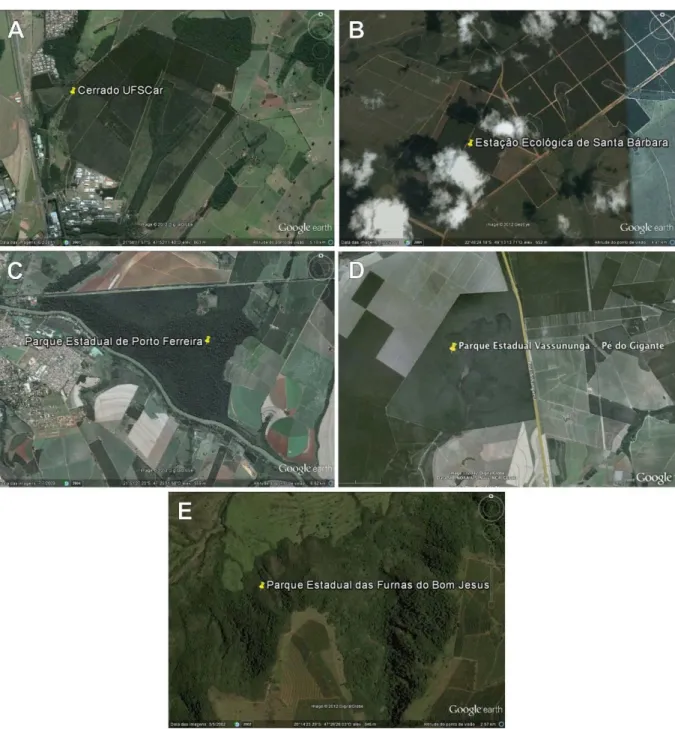Figura 4. A-E. Imagens dos fragmentos obtidas por satélite dos pontos de coleta. Fonte: 
