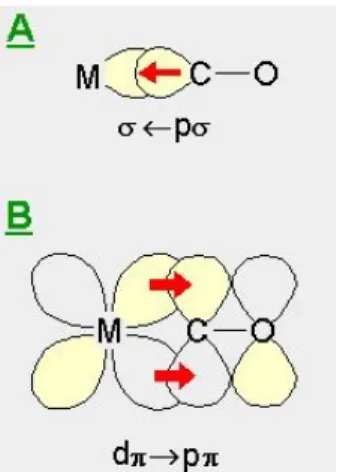 Figura 1.2:Modelo de retro-doação para a oxidação do monóxido de carbono. 