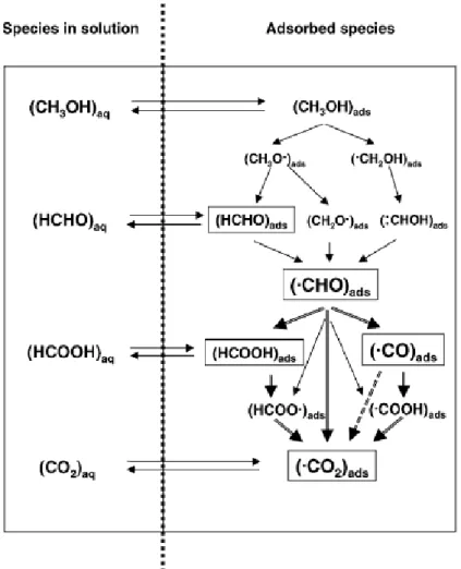 Figura 1.3: Representação do mecanismo de eletroxidação do metanol sobre platina  em meio ácido[33]