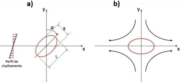 Figura 3.11: Representação da deformação de gotas segundo a teoria de Taylor  em fluxo cisalhante(a) e Fluxo hiperbólico(b)